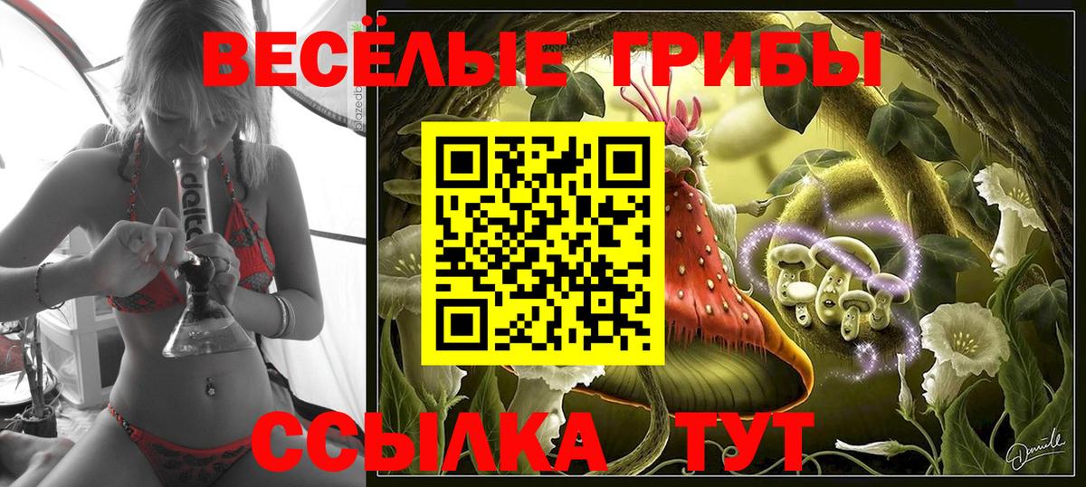 Новороссийск  Галлюциногенные грибы Psilocybine cubensis  Вход с VPN 